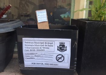SAÚDE  Vigilância Sanitária instala armadilhas para captura de ovos do Aedes aegypti