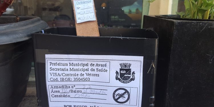 SAÚDE  Vigilância Sanitária instala armadilhas para captura de ovos do Aedes aegypti