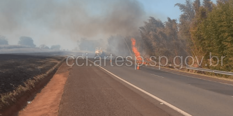 INCÊNDIO EM MATA CAUSA ACIDENTE E INTERDIÇÃO NA RODOVIA CASTELLO BRANCO EM AVARÉ