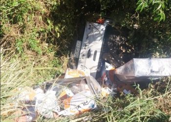 Passageira fica ferida após caminhonete capotar e cair de ponte na SP-255 em Avaré