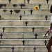 Casos de feminicídio por arma de fogo aumentam em 2025 no país