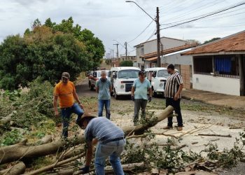GESTÃO  Equipes seguem mobilizadas após temporal que atingiu Avaré