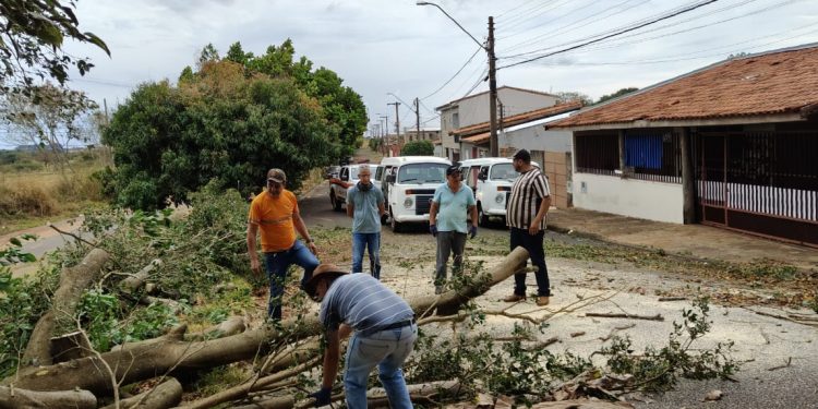 GESTÃO Equipes seguem mobilizadas após temporal que atingiu Avaré