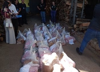 Polícia Civil incinera mais de 820 quilos de drogas em Avaré