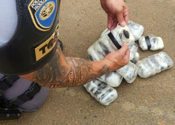 POLÍCIA MILITAR RODOVIÁRIA PRENDE CASAL POR TRÁFICO DE DEOGAS NA RODOVIA CASTELO BRANCO