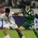 Palmeiras joga futuro na Libertadores diante da LDU