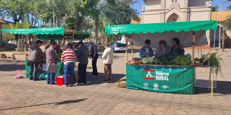 Sebrae-SP realiza Feira do Produtor Rural a partir desta sexta-feira em Bernardino de Campos
