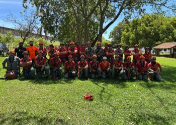 Bombeiros de Avaré e Região se Capacitam em Poda de Árvores e Trabalho em Altura para Reforçar a Segurança Urbana