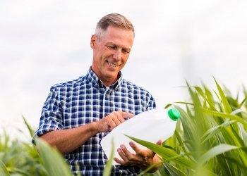 Ação de logística reversa no dia 26 recolhe embalagens de defensivos agrícolas