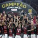 Flamengo derrota Ceará e coroa ano mágico com título Brasileiro