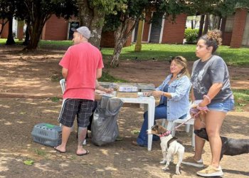 Vacinação antirrábica em Avaré chega a mais de 4,7 mil pets em 2025