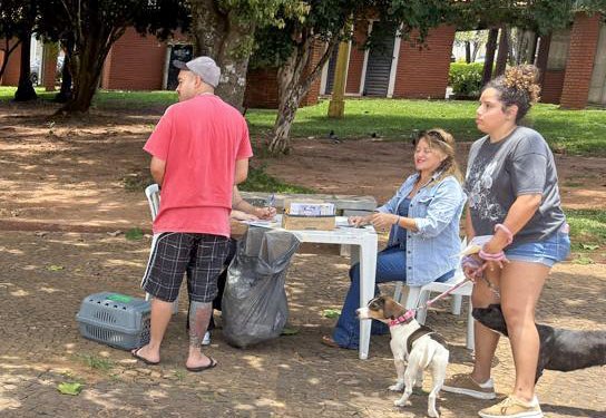 Vacinação antirrábica em Avaré chega a mais de 4,7 mil pets em 2025