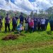 JUVENTUDE – Avaré inicia projeto de arborização com participação de estudantes