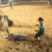 PEÃO FRATURA COSTELA AO SER ATINGIDO POR TOURO EM RODEIO NA EMAPA