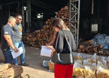 A Delegacia Seccional de Polícia de Avaré, por intermédio da Delegacia de Investigações sobre Entorpecentes (DISE), realizou na quarta-feira, 21 de janeiro de 2026