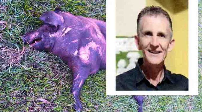 CICLISTA MORRE APÓS SER ATINGIDO POR CARRO QUE TENTOU DESVIAR DE ANIMAL MORTO NA SP-255 EM AVARÉ