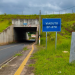 VANDALISMO DEIXA TÚNEL MILTON MONTI NO ESCURO EM AVARÉ