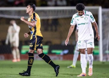 Palmeiras toma quatro do Novorizontino e sofre maior derrota da era Abel