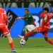 Palmeiras goleia o Capivariano vai à semifinal do Campeonato Paulista