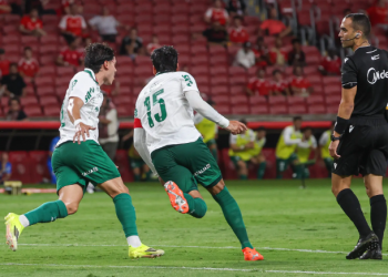 Palmeiras vence o Inter e assume a liderança do Brasileirão