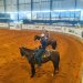 Capital do Cavalo, Avaré recebe Derby Rédeas e atrai milhares de visitantes neste fim de semana