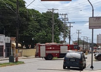 MULHERES SÃO ATACADAS POR ENXAME DE ABELHAS EM AVARÉ; DUAS SÃO SOCORRIDAS AO PRONTO SOCORRO