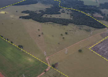 TJ-SP SUSPENDE ALIENAÇÃO DA FAZENDA ONÇA EM AVARÉ E ANULA EFEITOS DE LEILÃO DESERTO