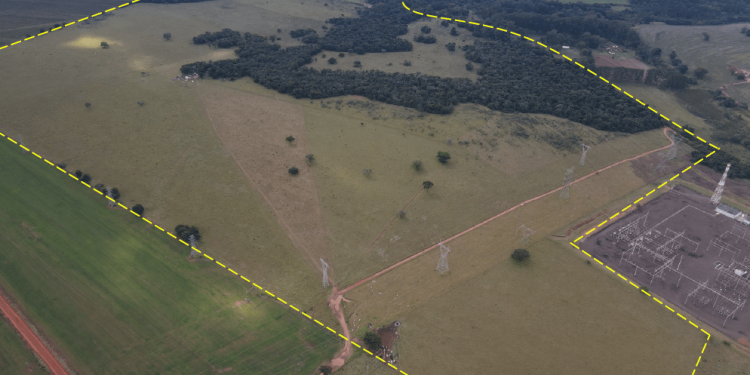 TJ-SP SUSPENDE ALIENAÇÃO DA FAZENDA ONÇA EM AVARÉ E ANULA EFEITOS DE LEILÃO DESERTO