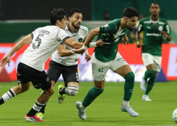 Palmeiras vence o Botafogo e retoma liderança do Brasileiro
