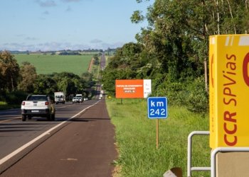 FERIADO: Cerca de 40 mil veículos devem circular no trecho de Avaré da SP-255