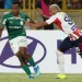 Palmeiras empata com o Junior Barranquilla pela Libertadores