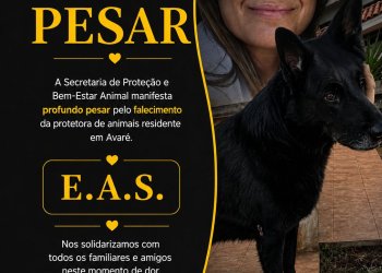 Prefeitura atua para proteger animais após crime que comoveu Avaré