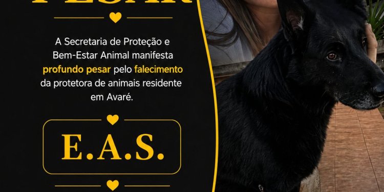 Prefeitura atua para proteger animais após crime que comoveu Avaré