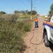 AÇÃO RÁPIDA DA DEFESA CIVIL EVITA QUE INCÊNDIO SE ALASTRE NO DISTRITO INDUSTRIAL DE AVARÉ