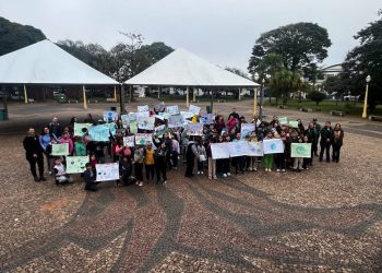 MEIO AMBIENTE  *Caminhada comemora Dia do Mundial do Meio Ambiente em Avaré* _