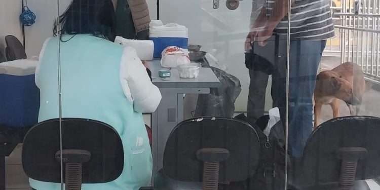 SAÚDE* *Prefeitura de Avaré amplia vacinação contra Influenza para servidores municipais