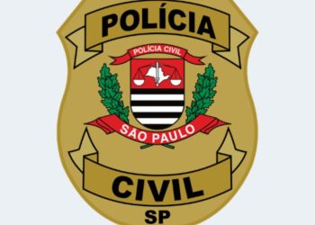 Operação da Polícia Civil prende três investigados por série de furtos em Piraju