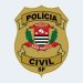Operação da Polícia Civil prende três investigados por série de furtos em Piraju