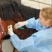 *OPORTUNIDADE* *Curso gratuito ensina aplicação de medicamentos e vacinas em cavalos em Avaré*