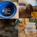 POLÍCIA MILITAR AMBIENTAL APREENDE ANIMAIS SILVESTRES E EXÓTICOS MANTIDOS IRREGULARMENTE EM CATIVEIRO EM TATUÍ/SP