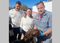 UNIÃO DE ESFORÇOS PARA SALVAR MACACO FERIDO EMOCIONA E RECEBE RECONHECIMENTO DE BOMBEIRO DE AVARÉ