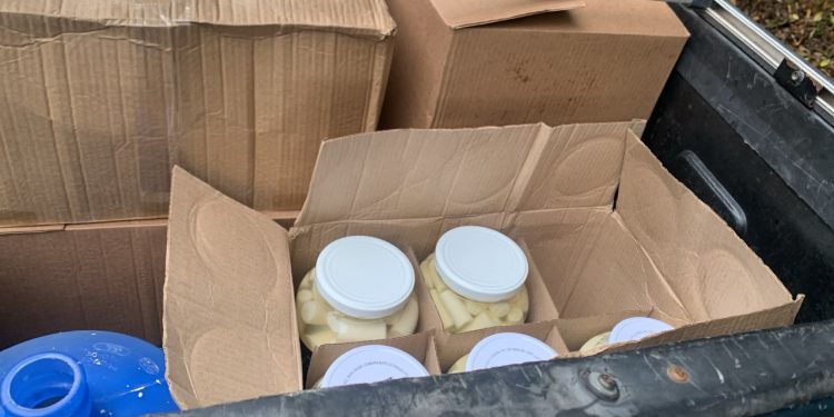 POLÍCIA MILITAR AMBIENTAL APREENDE CERCA DE 162 KG DE PALMITO SEM NOTA FISCAL EM SÃO MIGUEL ARCANJO/SP