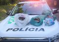 POLÍCIA MILITAR AMBIENTAL APREENDE AVES SILVESTRES ABATIDAS E PESCADO IRREGULAR EM SÃO MIGUEL ARCANJO/SP