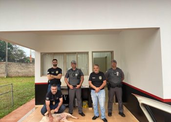 Polícia Civil resgata cão vítima de maus-tratos e captura procurado em Arandu