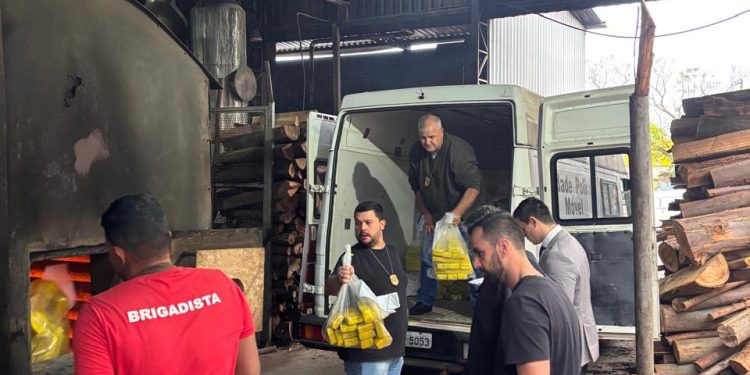 Mais de 1,3 tonelada de drogas é incinerada pela Polícia Civil de Piraju
