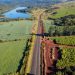 Via Raposo completa seis meses com 147 km de asfalto recuperados