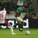 Palmeiras só empata com o Cerro pela Libertadores