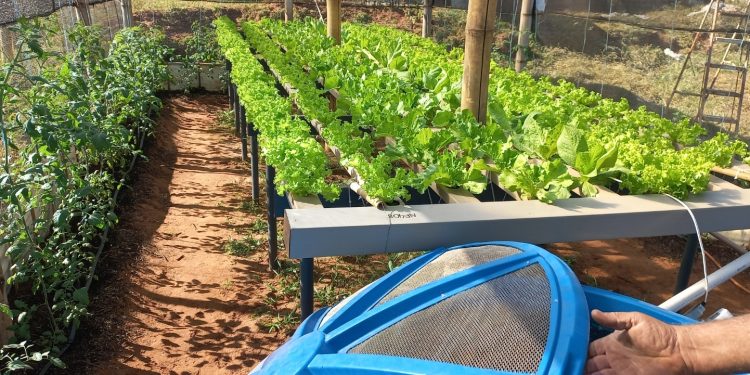*OPORTUNIDADE* *Produtores rurais de Avaré podem participar gratuitamente do Programa ALI Rural*