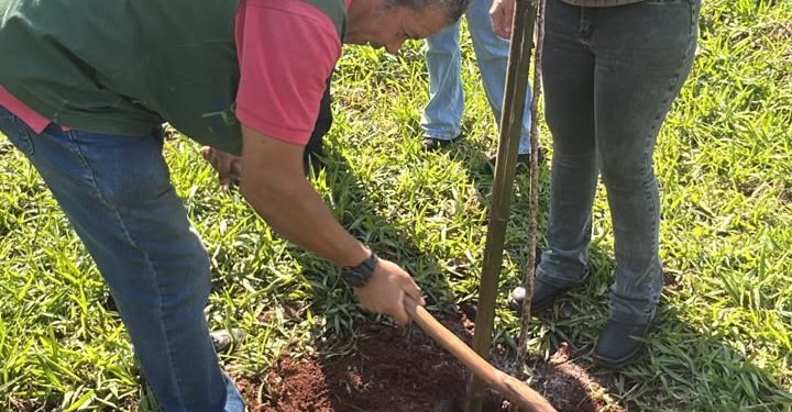 *MEIO AMBIENTE* *Avaré celebra o Dia da Árvore com plantio de mudas no Horto e escola municipal*