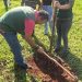 *MEIO AMBIENTE* *Avaré celebra o Dia da Árvore com plantio de mudas no Horto e escola municipal*